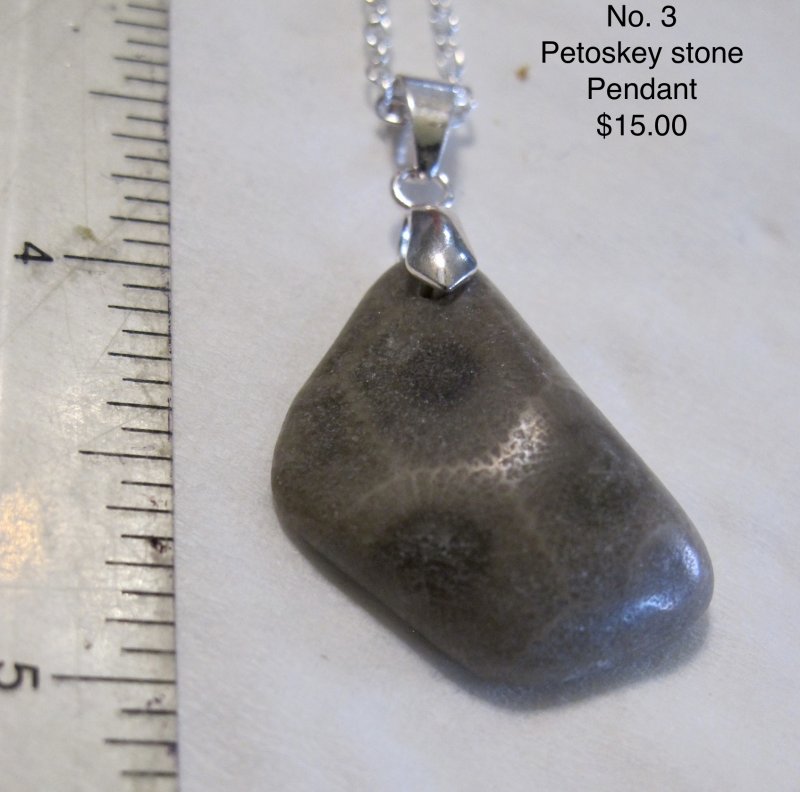  Petoskey Stone Teardrop Pendant Fossil Michigan No 3