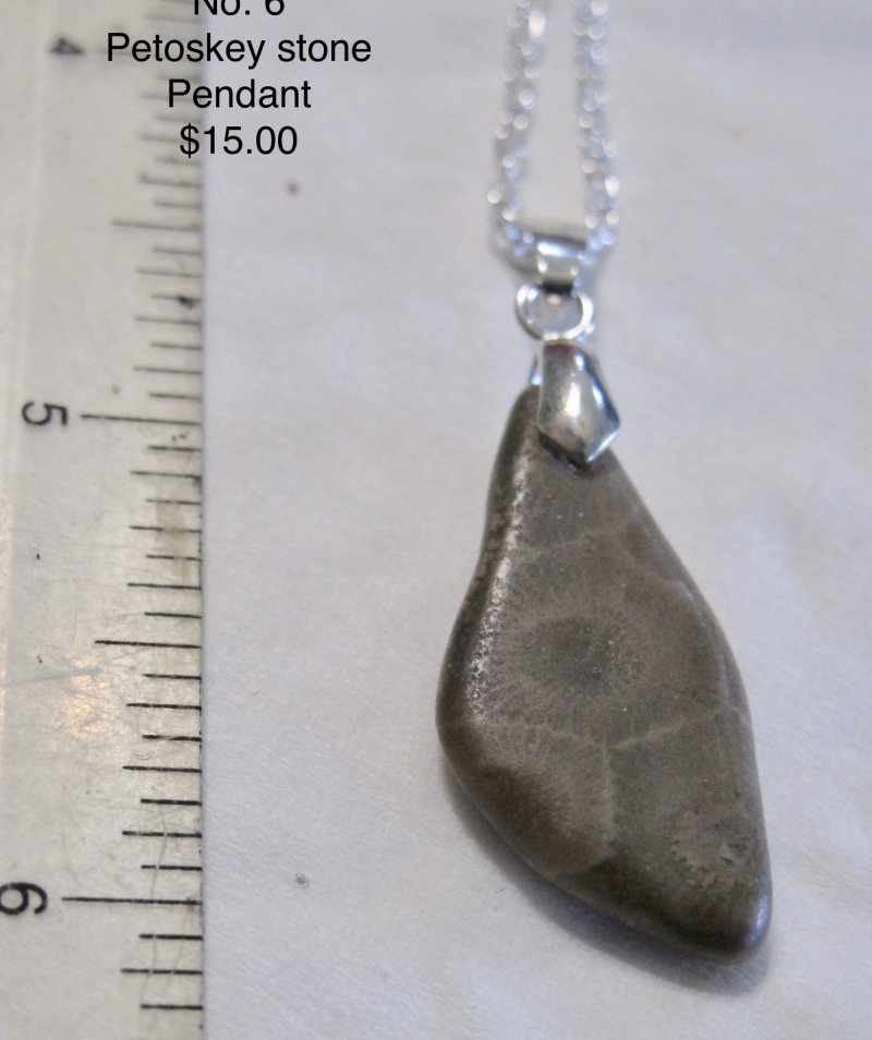  Petoskey Stone Teardrop Pendant Fossil Michigan No 6