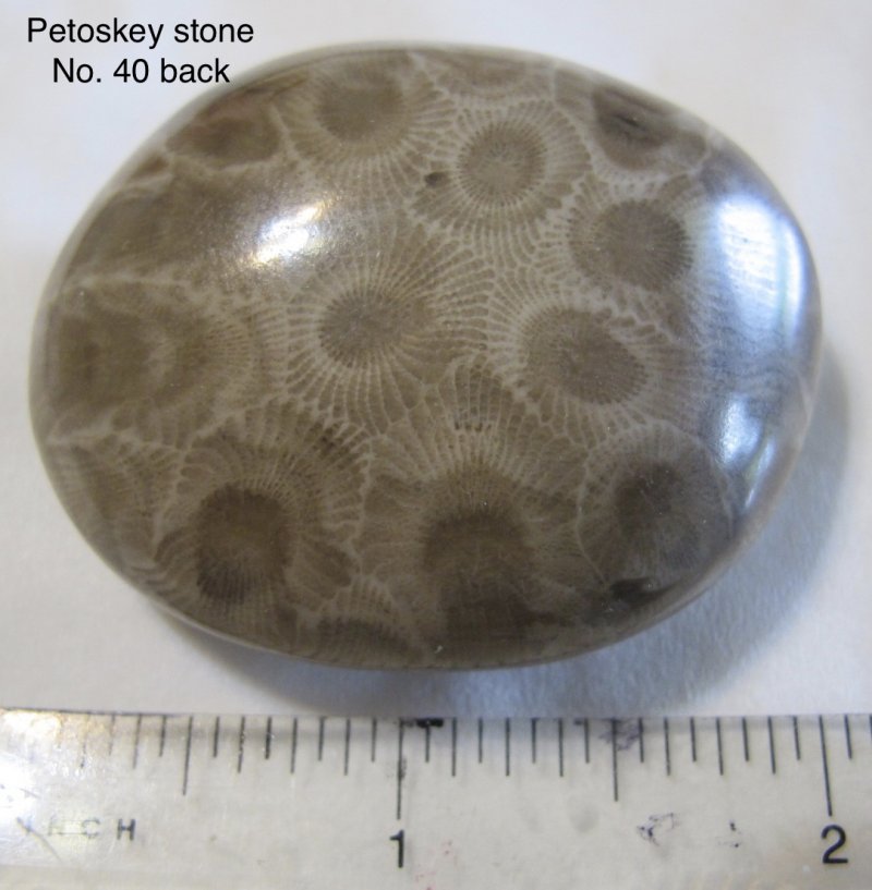 Petoskey Stone back