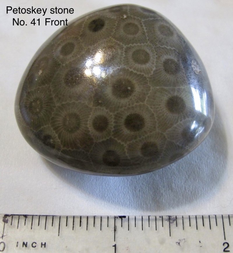 Petoskey Stone Front