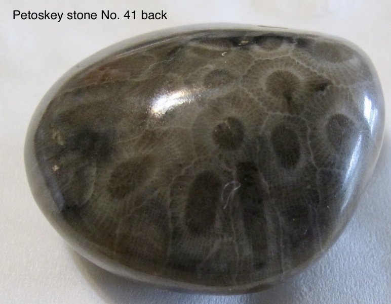 Petoskey Stone Back