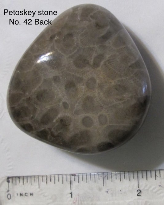 Petoskey Stone Back