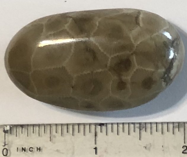 Petoskey Stone