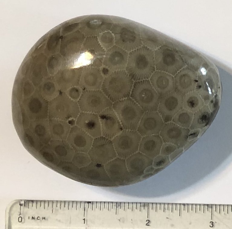 Petoskey Stone