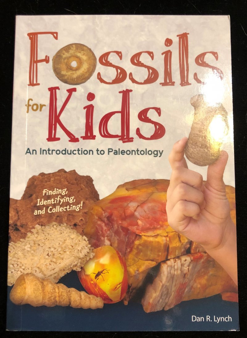 Fossils for Kids Book Lynch