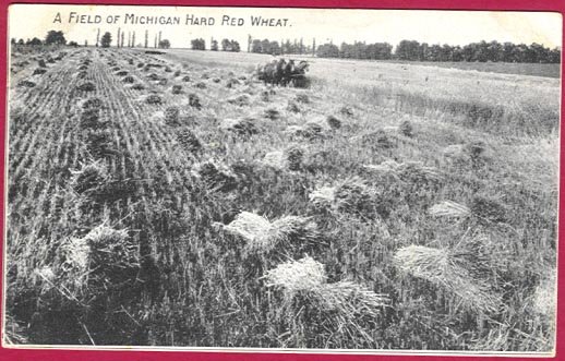 Jackson Mi Isbell Seed Growers Ad Postcard 