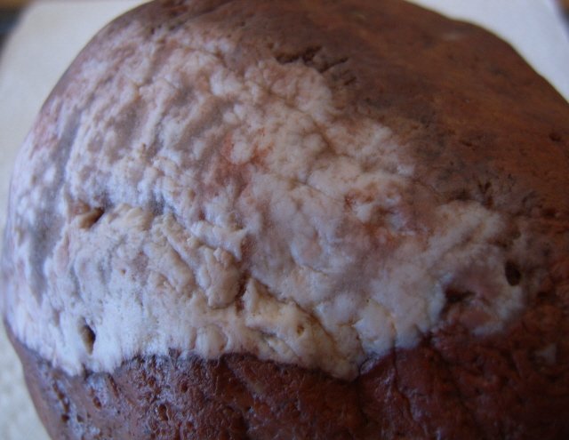 Close up of side
