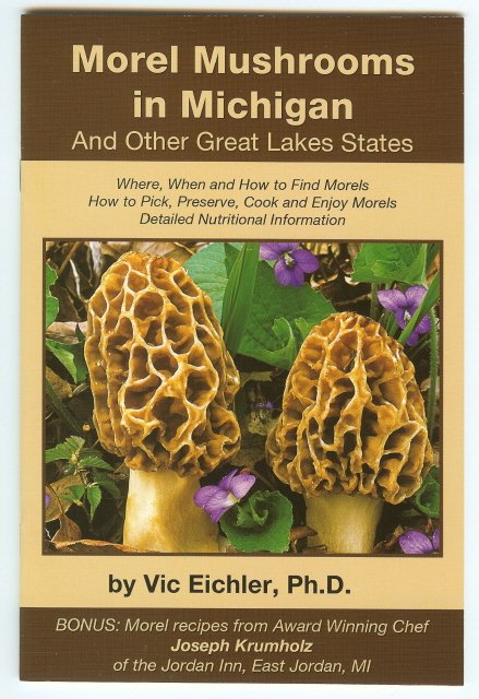 Morel Mushrooms in Michigan Great Lakes States Eichler
