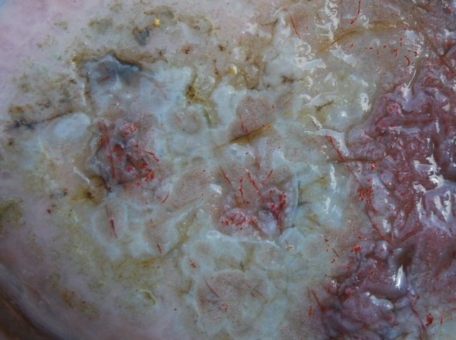 Lake Superior agate close up