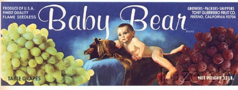Baby Bear Brand Vintage Grape Crate Label - Wholesale Lot of 10