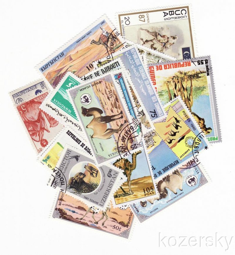 Camels on Stamps, Topical Stamp Packet, 50 different stamps
