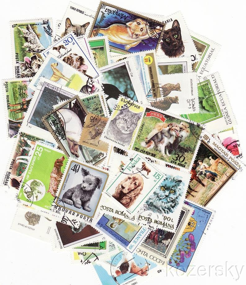 Cats & Dogs on Stamps, Topical Stamp Packet, 100 different stamps