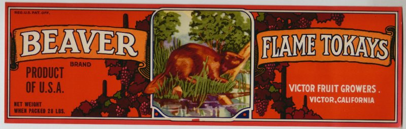 Beaver Brand Vintage Red Border Grape Crate Label