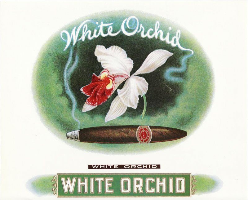 White Orchid Inner Cigar Box Label, 1910s