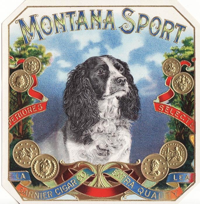 Montana Sport Vintage Outer Cigar Box Label