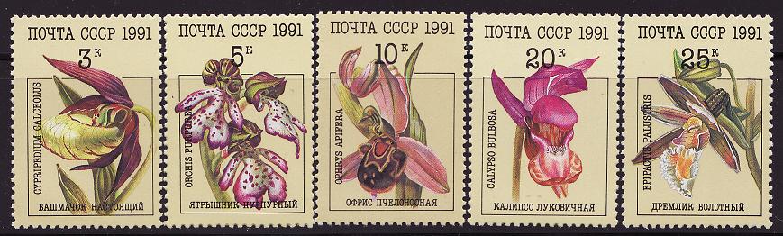 Russia 5994-98, Russia Stamps Orchids, MNH
