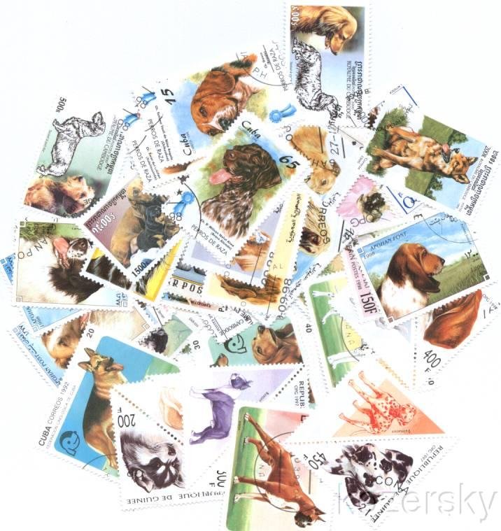 Dogs on Stamps, Topical Stamp Packet,  50 different stamps