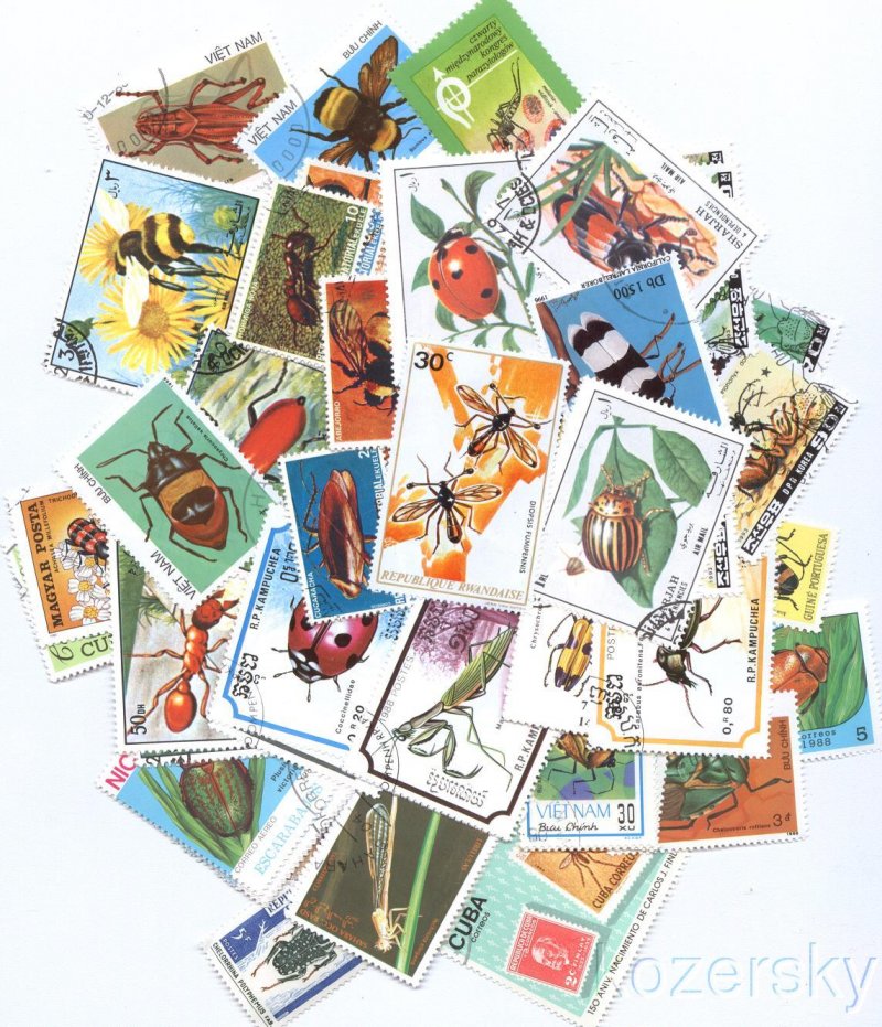 Insects on Stamps, Topical Stamp Packet,  50 different stamps