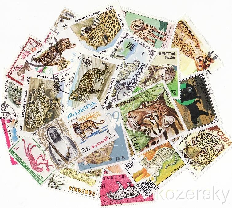 Leopards & Panthers on Stamps, Topical Stamp Packet,  25 different stamps
