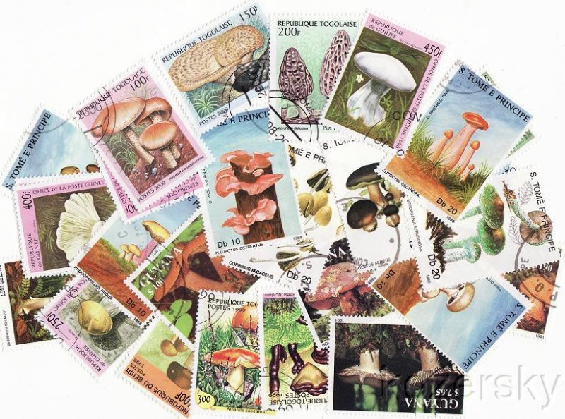 Mushrooms on Stamps, Topical Stamp Packet,  25 different stamps