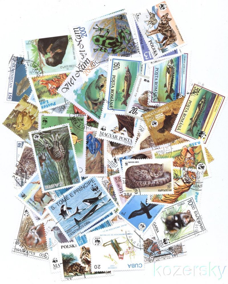 World Wildlife Fund, WWF on Stamps, Topical Stamp Packet,  50 different stamps