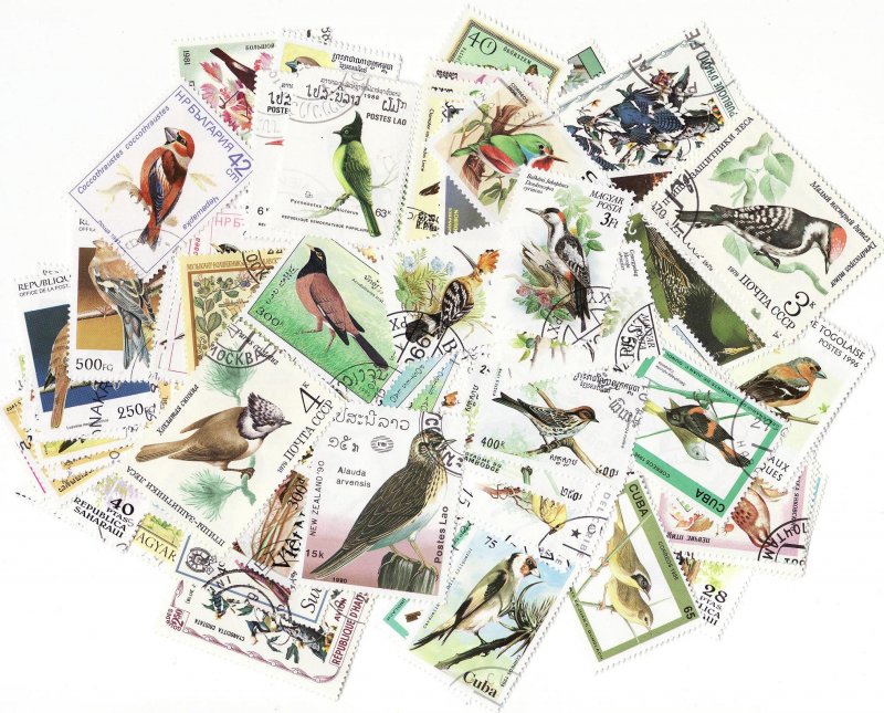  Song Birds on Stamps, Topical Stamp Packet, 100 different stamps