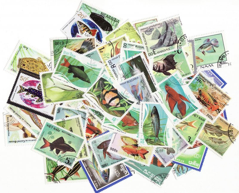  Tropical Fish on Stamp, Fresh Water, Topical Stamp Packet, 100 different stamps