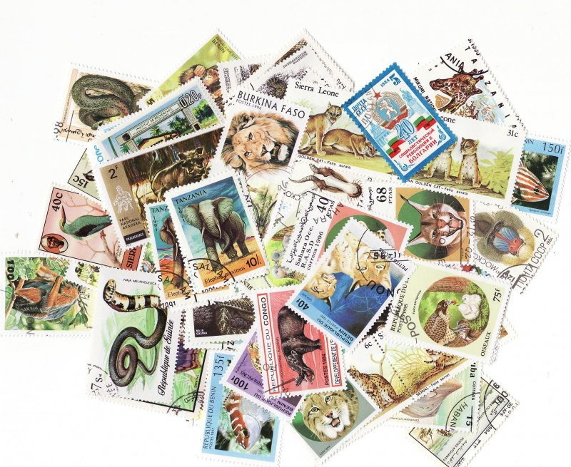  African Animals on Stamps, Topical Stamp Packet, 100 different stamps