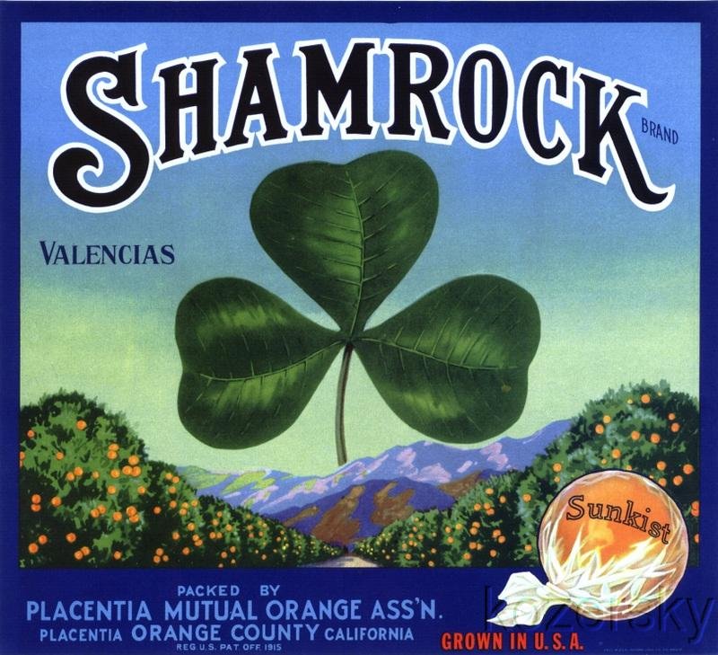 Shamrock Vintage Valencia Orange Crate Label