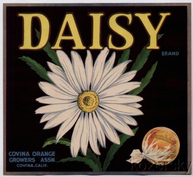 Daisy Brand Orange Crate Label