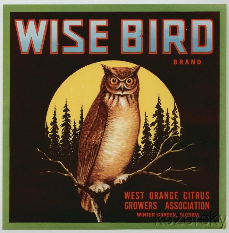 Wise Bird Orange Fruit Crate Label