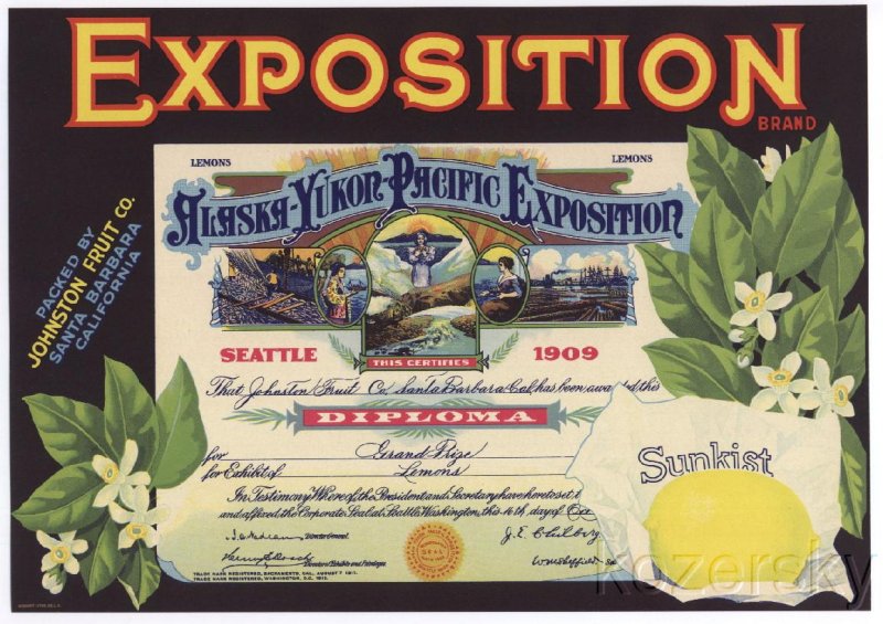 Exposition Brand Vintage Lemon Crate Label