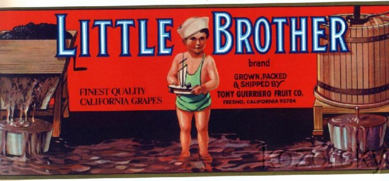 Little Brother Brand Vintage Grape Crate Label - Wholesale Lot of 10