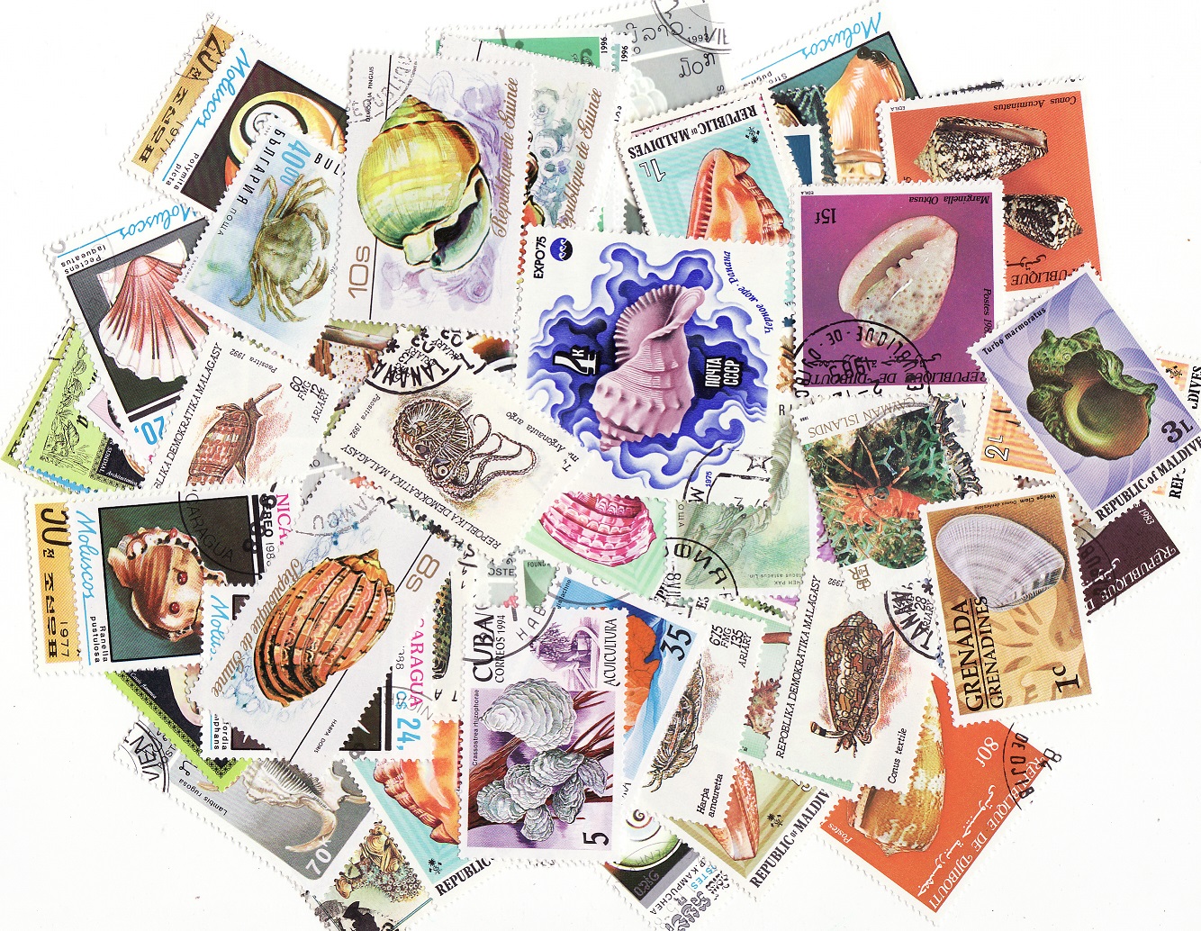 Shells on Stamps, Topical Stamps Packet, 100 different stamps