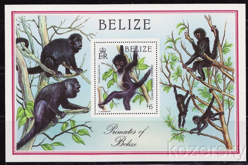 Belize  872, Primates of Belize Stamp, Black Spider Monkey, S/S, MNH