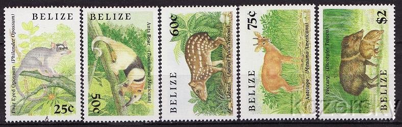 Belize  911-15, Indigenous Small Animals Stamps, Opossum, Bear, Antelope, MNH