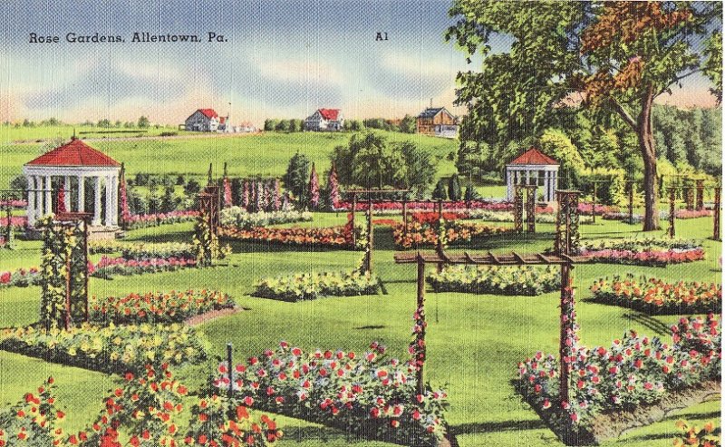 Rose Garden. Allentown, Pennsylvania