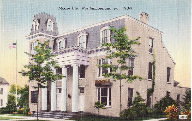 Moose Hall.  Northumberland, Pennsylvania.  Linen Postcard