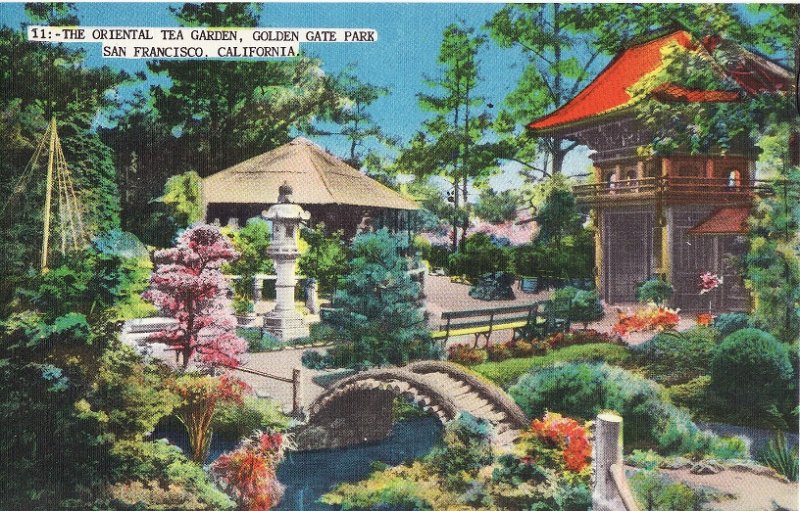 The Oriental Tea Garden, Golden Gate Park. San Francisco, CA.  Linen Postcard.
