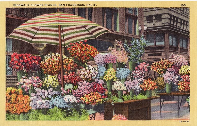 Sidewalk Flower Stands.  San Francisco, CA.  Linen Postcard.