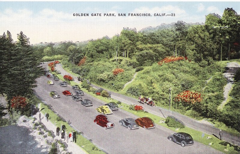 Golden Gate Park.  San Francisco, CA.  Linen Postcard.