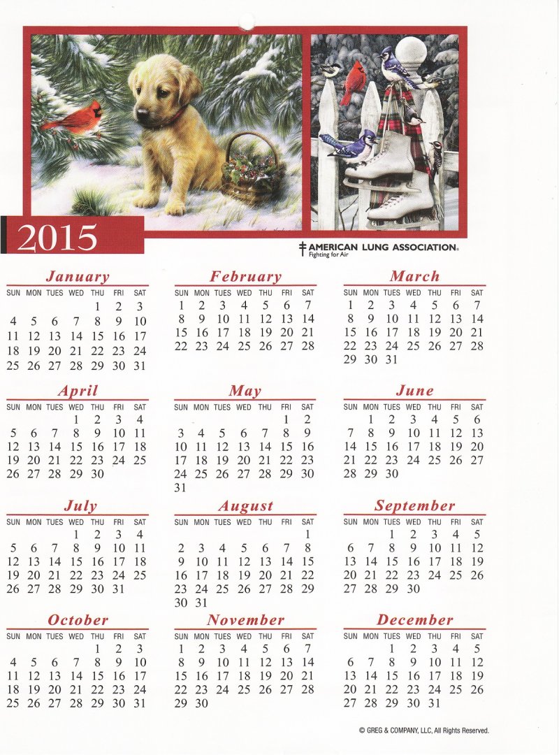 CL114-T3, 2015 U.S. Christmas Seals Themed Calendar, CalGre-07