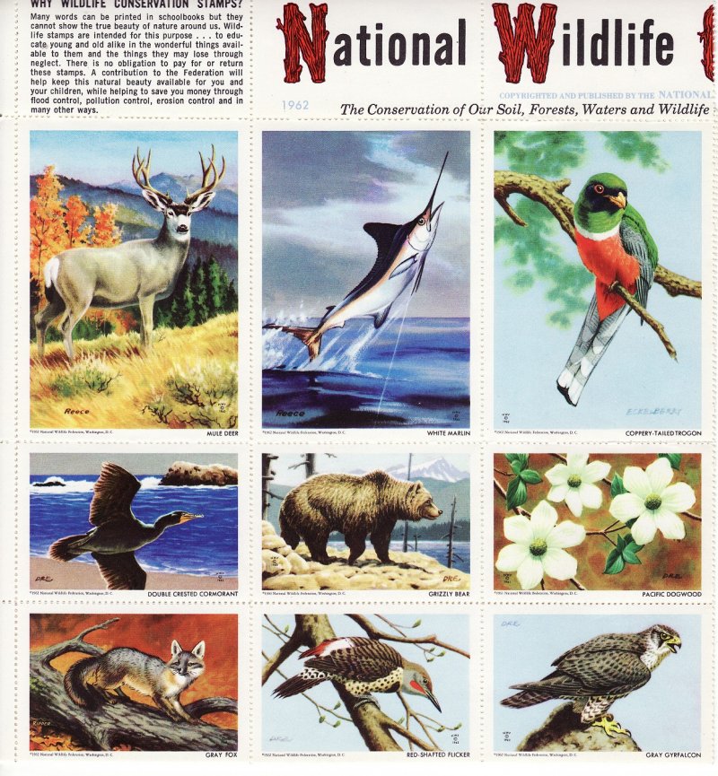 NWF 8-250A.25, 1962 National Wildlife Federation Annual Charity Seals Sheet - top left