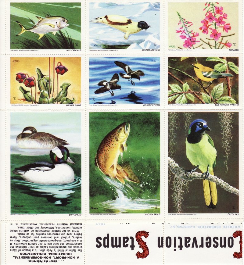 NWF 8-250A.25, 1962 National Wildlife Federation Annual Charity Seals Sheet - bottom left