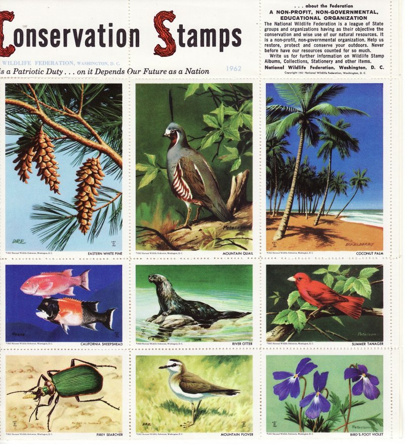 NWF 8-250A.25, 1962 National Wildlife Federation Annual Charity Seals Sheet - top right
