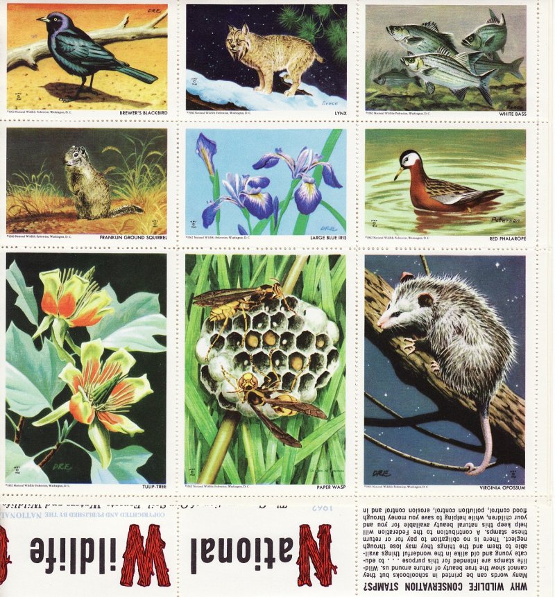 NWF 8-250A.25, 1962 National Wildlife Federation Annual Charity Seals Sheet - bottom right