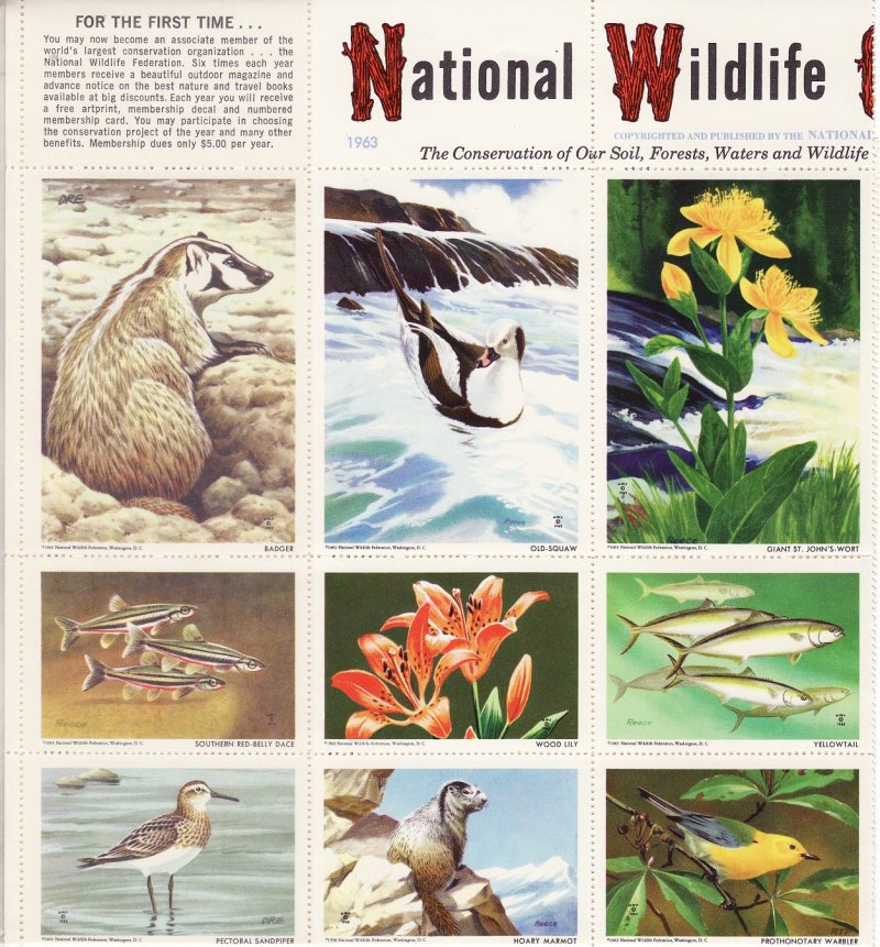 NWF 8-250A.26, 1963 National Wildlife Federation Annual Charity Seals Sheet - top left