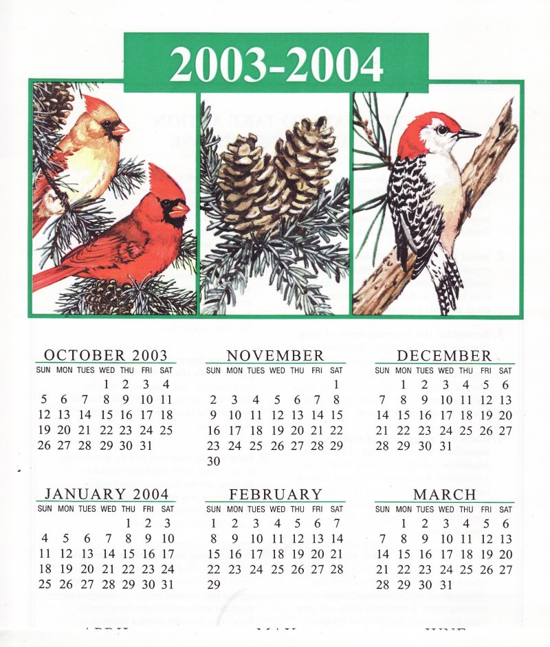 CL103-1x1, 2003-2004 ALA U.S. Christmas Seals Themed Calendar, top half