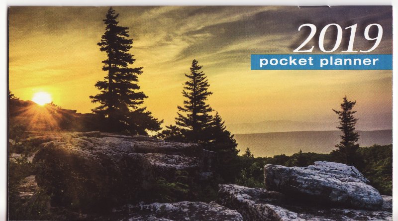 PG118-1 2019 ALA Pocket Planner, FY19-FU1S-PP
