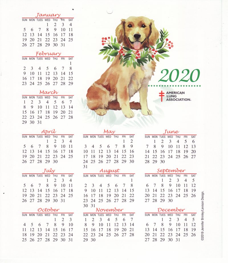 CL119-T1, ALA 2020 U.S. Christmas Seal Themed Calendar, FY20-Cal-08